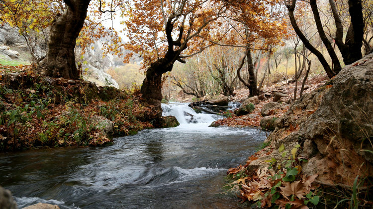 水環(huán)境 水環(huán)境